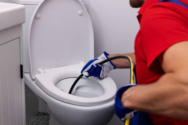 Best Plumbing Services Near Me  in Mahtomedi, MN